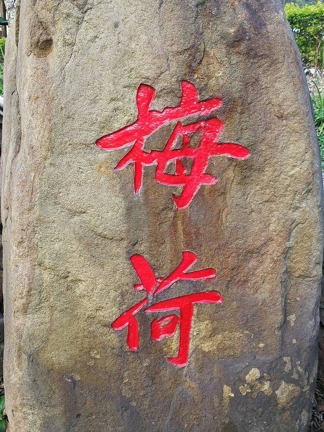 日月潭水社游客中心