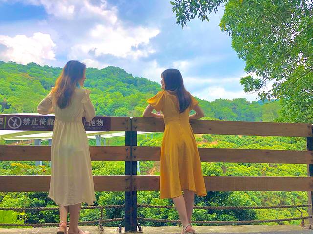 大顶岭山林公园