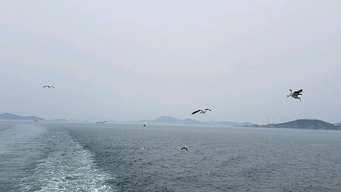 长岛港旅游景点攻略图