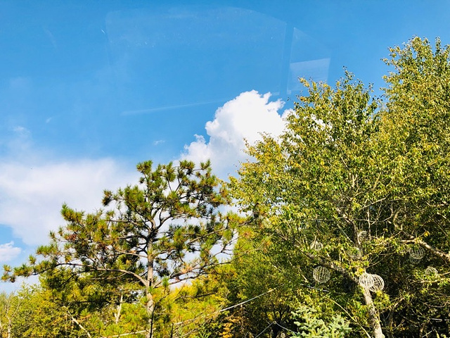 "白泉山生态公园|风景很美，自然景观最美_白泉山生态公园"的评论图片