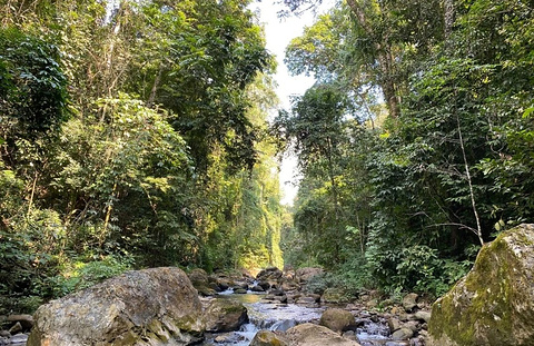 勐远仙境旅游景点攻略图