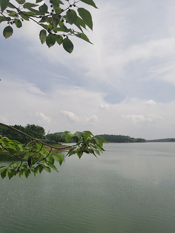 "古宇湖是70年代修建的人工中型湖泊，湖面面积5.4平方公里，东西最长7.5公里，南北最宽2公里..._古宇湖"的评论图片