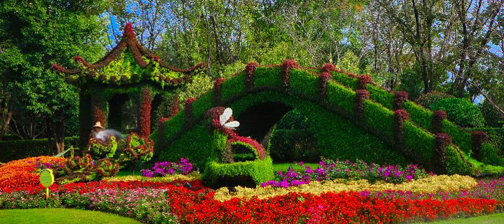 "浅谈三翁花园😉|探秘标杆城市花园🌷_抚州"的评论图片