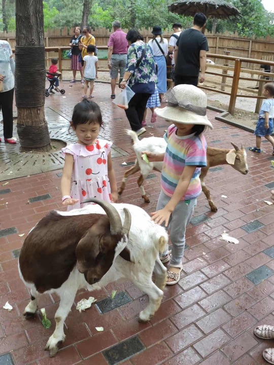北京野生动物园步行游览区 