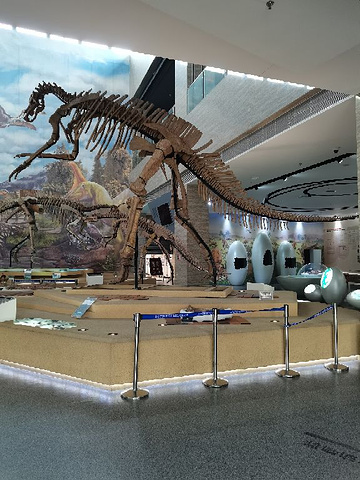 "...关部位化石 孩子喜欢的恐龙玩具拼图等 园林是发现恐龙的峡谷 对喜欢恐龙的孩子来说还是有可玩性的_白垩纪国家地质公园"的评论图片