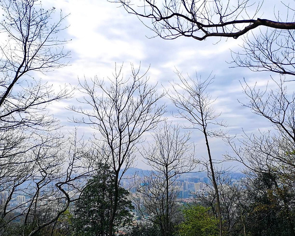 "1.岳麓山风景区🏯主要景点:岳麓书院，爱晚亭来到岳麓山，这也是必打卡景点_岳麓山"的评论图片