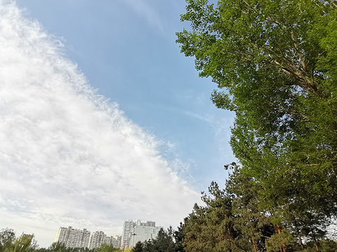 湘江公园旅游景点攻略图