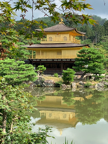 "_金阁寺"的评论图片