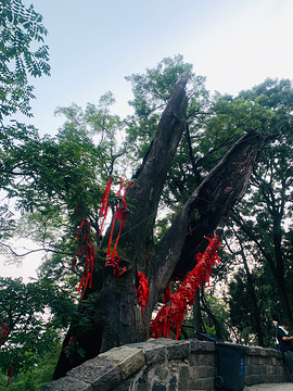 中天门旅游景点攻略图