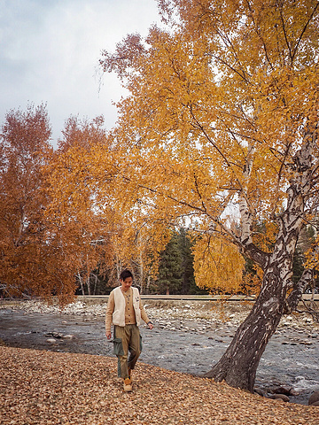 "北疆新疆旅游|可可托海|秋季旅游🍁_可可托海景区"的评论图片