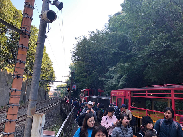 "岚山的范围其实很大，路牌上面的天龙寺和常寂光寺，景色都非常美，然而我们跟团的行程里不去。景区介绍_岚山嵯峨野观光小火车"的评论图片