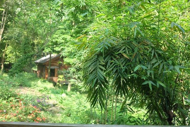 广州二龙山薰衣草森林世界