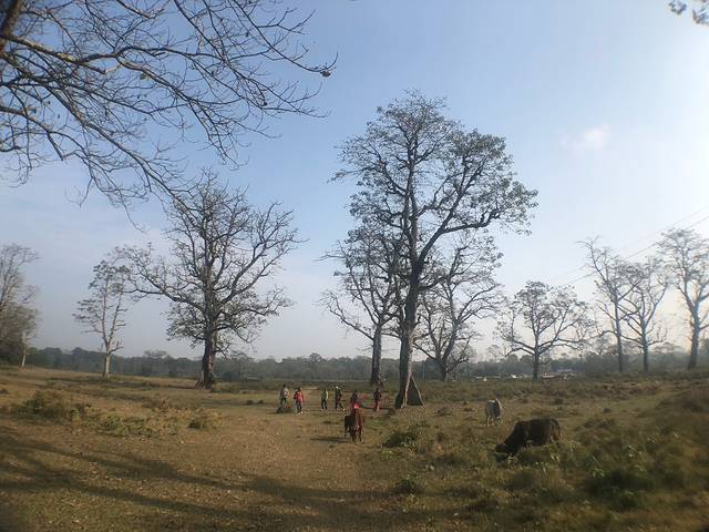 奇特旺那纳雅尼河