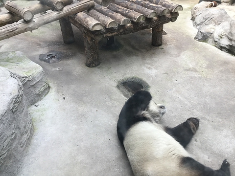 北京动物园旅游景点攻略图
