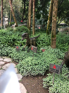 重庆动物园旅游景点攻略图
