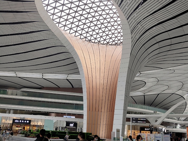 "_北京大兴国际机场"的评论图片