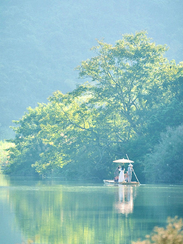 "在这里 我看到了一年中最美的风景🍃_广西崇左秘境丽世度假村"的评论图片