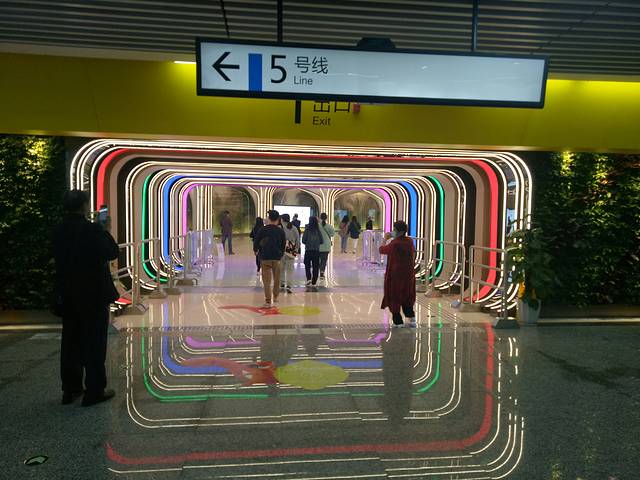 重庆光环购物公园室内植物园“沐光森林”