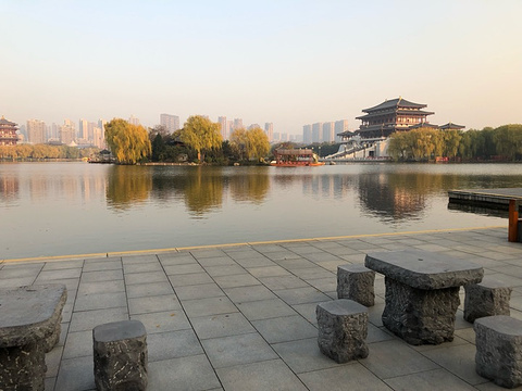 江阴芙蓉湖公园图片