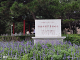 长春旅游景点攻略图片