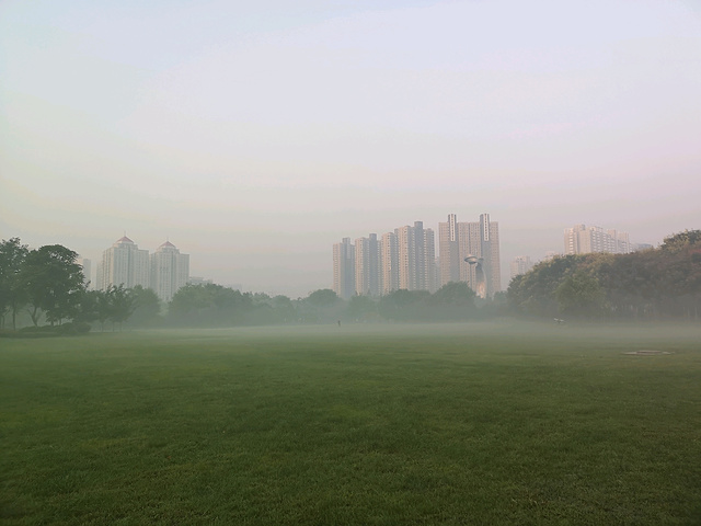 "...和老妈相约去公园的时间，今天虽然在郑州也不能例外😜一早和老妈相约去附近的郑州之林，顺便买早餐_郑州之林"的评论图片