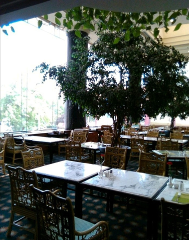 "红墙咖啡厅_北京贵宾楼饭店·红墙咖啡厅"的评论图片