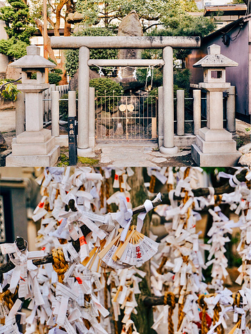 "日本大阪宝藏景点🦁️不能错过的狮子神社_难波八坂神社"的评论图片