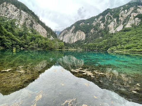 九寨沟-五花海旅游景点攻略图