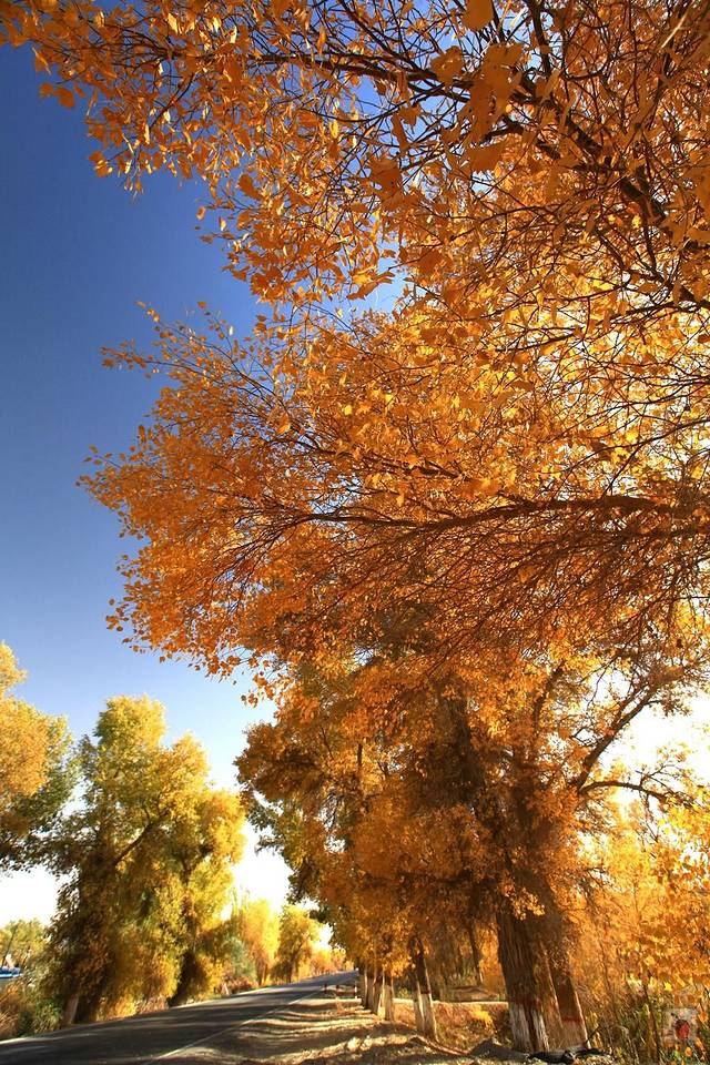 塔克拉玛干沙漠