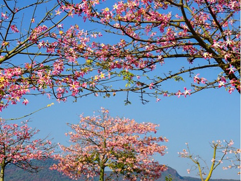 从化温泉风景区旅游景点图片
