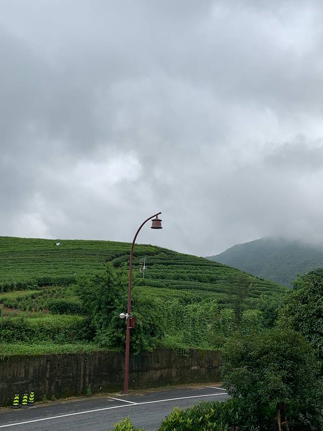 杭州西湖风景名胜区-西山森林公园