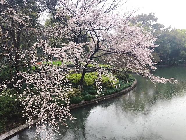 杭州西湖风景名胜区-风波亭