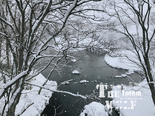 "名水公园是羊蹄山的代表,天然涌出的泉水，涌出量一天有1440吨,水质纯净清凉,已列入日本百选名水之林_羊蹄山"的评论图片