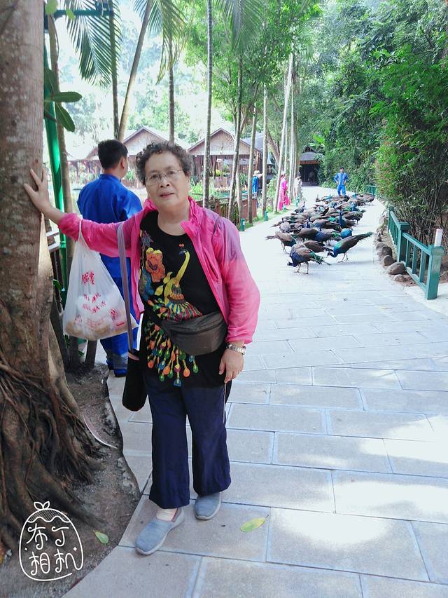 西双版纳孔雀山庄