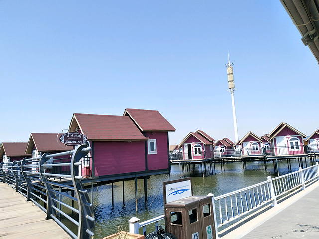"月坨岛富有荷兰风情，目前正在建设具有异国风情的生态旅游度假中心。门票门市价123元_月岛"的评论图片
