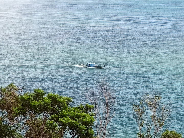 "南澳岛最美的风景在路上，自驾和骑行都是不错的选择，骑行下坡注意按刹车控制速度游客中心吃饭_南澳岛"的评论图片