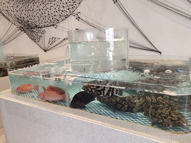 隐海肴 | 海鲜餐厅(双子塔海景店)