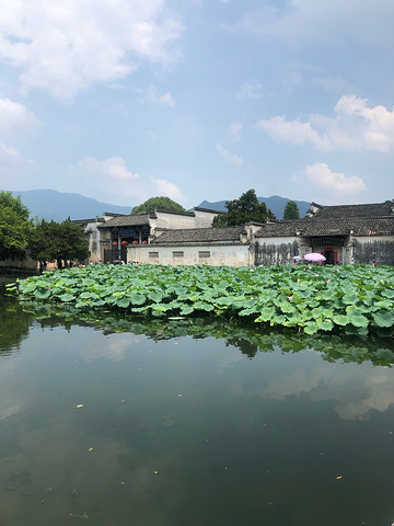 "_宏村-南湖"的评论图片