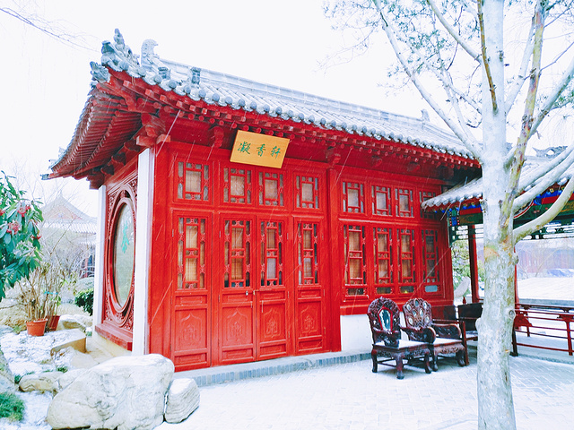 "沽酒长安 宿雪伴眠❄️——雪中的小众西安_西安鼓楼"的评论图片