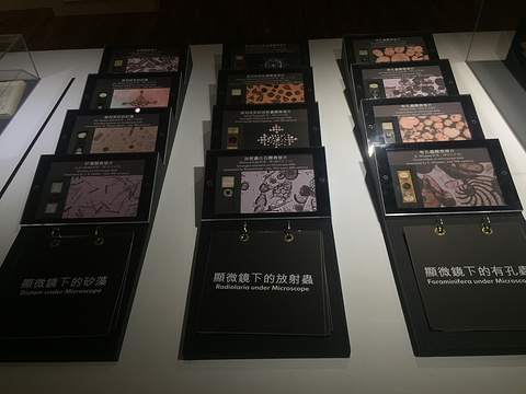 台湾博物馆-南门园区旅游景点图片