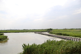 观鸟胜地杭州湾湿地公园一日游