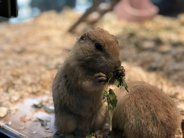 萌乐游亲子互动馆