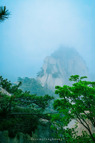 "...，这些远看似古堡魏立的天柱山岩石，在西关群峰垂直节理中非常发育，形成了横看成岭侧成峰的美丽景致_天柱山"的评论图片