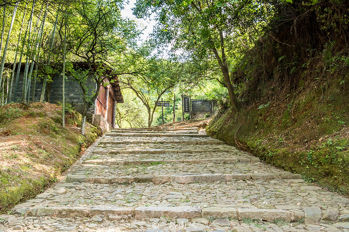 大余县梅岭景区图片