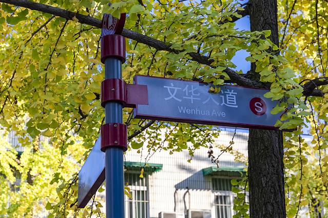 四川大学(望江校区)