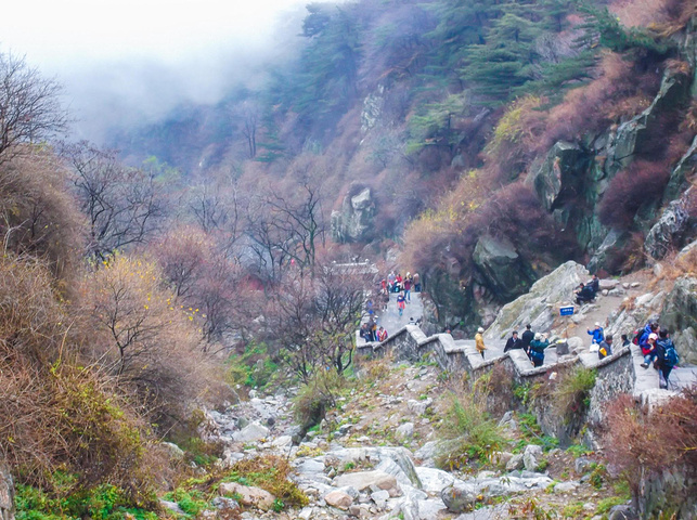 秋雨綿綿,爬到高處,漫山雲霧,宛如置身仙境.不虛此行