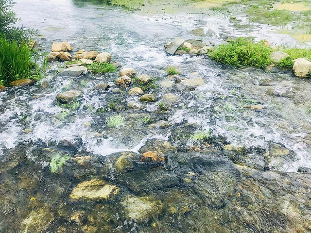 "这样慢节奏的生活，糟糕的心情瞬间烟消云散，整个人就沉醉在这如诗如画的景色中了_洱海"的评论图片