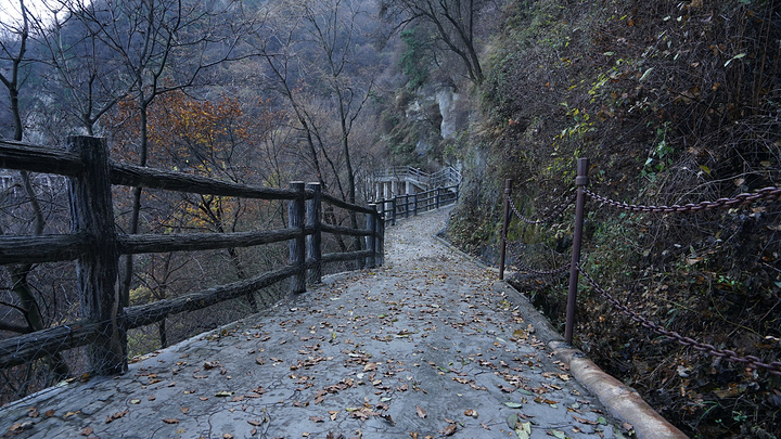 "少华山的山腰步道连着玻璃栈道整体来看非常像一条巨龙盘绕于山岭，很漂亮。人性化栈道，不都是玻璃的。蜿蜒_少华山玻璃栈道"的评论图片