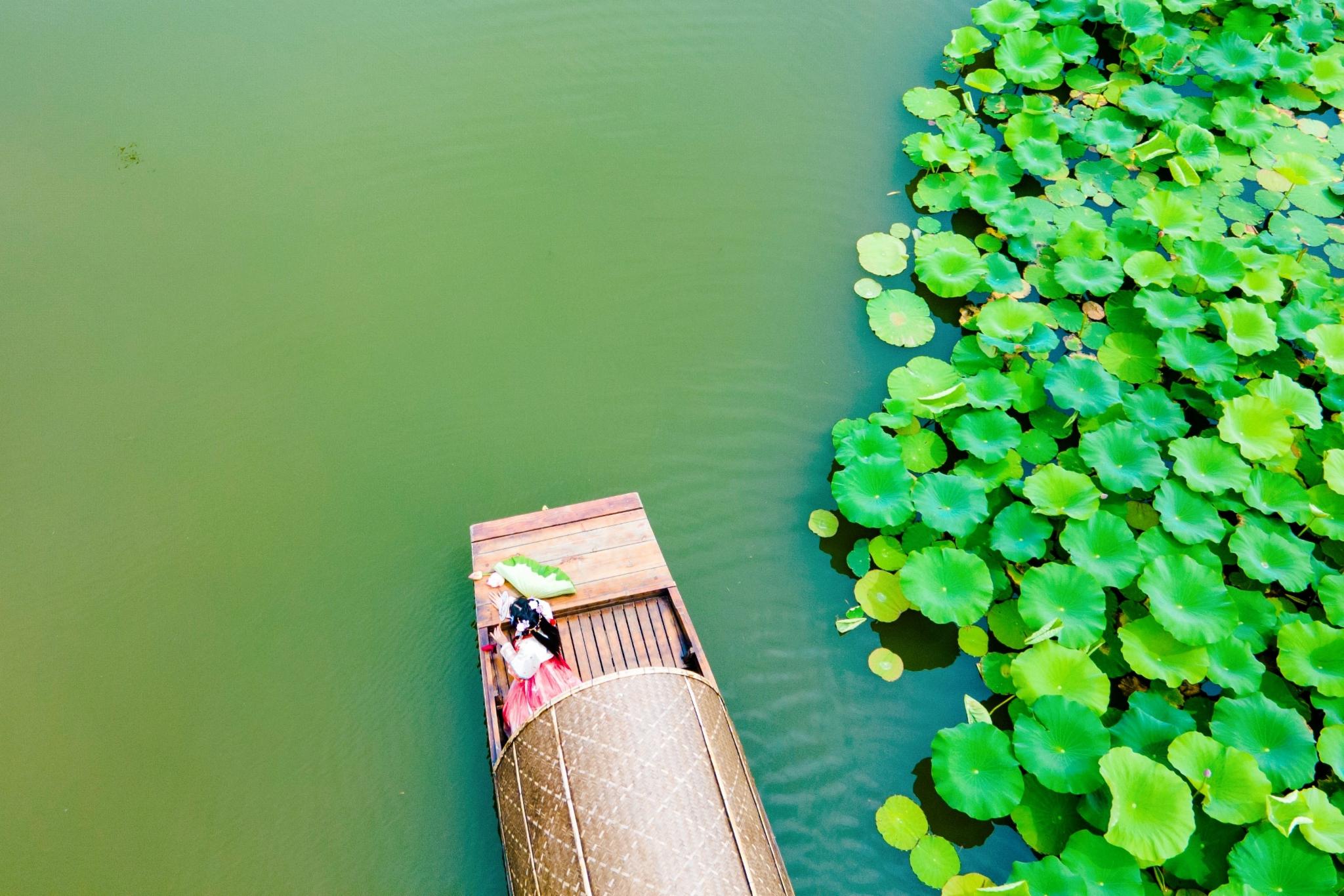 慢游高淳，“荷”你有约！固城湖水慢城二日游攻略