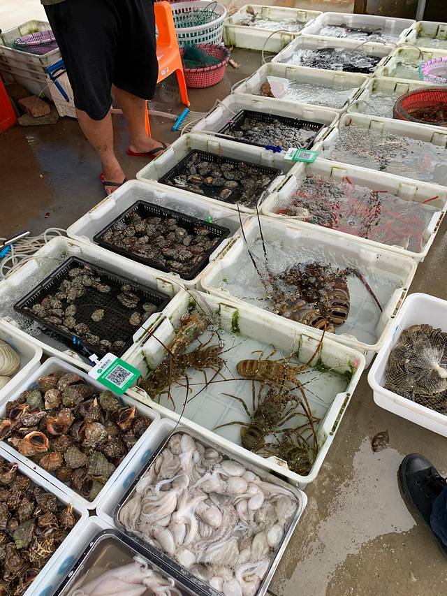 文昌清澜港环球码头